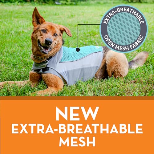 Breeze for Dogs Calming Anxiety Vest (Aqua / Medium)