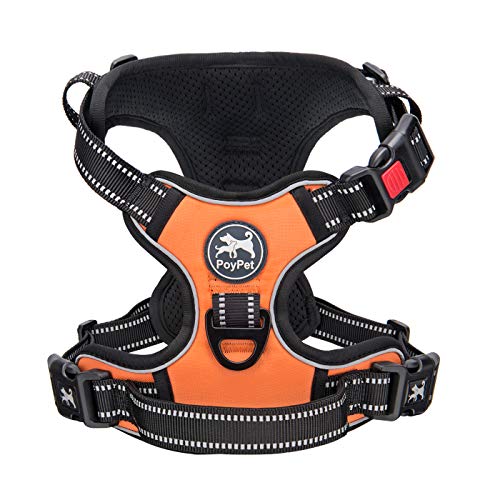 No Pull Dog Harness Small with Front Clip & Neck Release Buckle (XS / Orange)