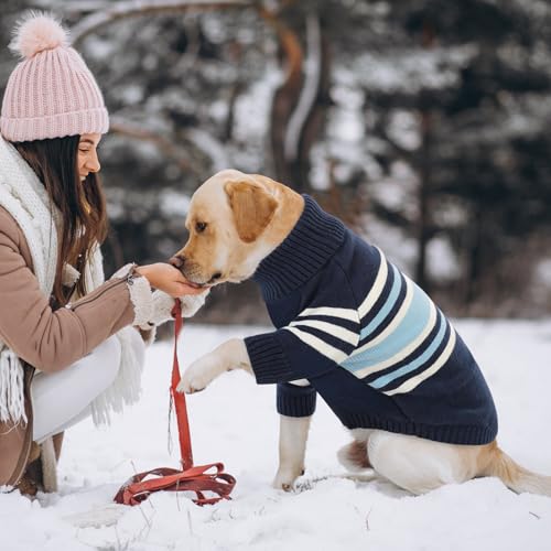 Dog Striped Knitted Sweater (Medium / Blue)