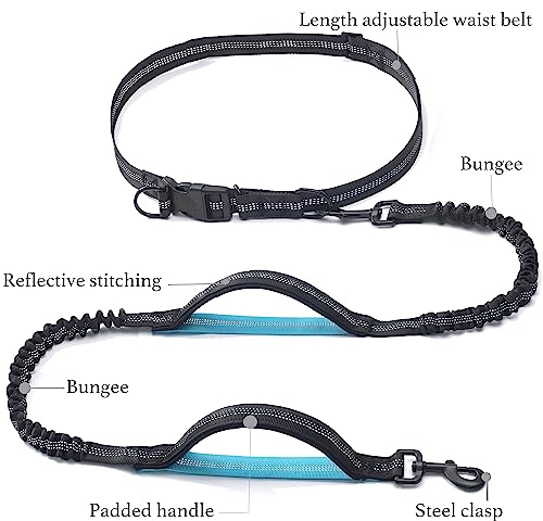 Retractable Hands Free Dog Leash (Black / Small)