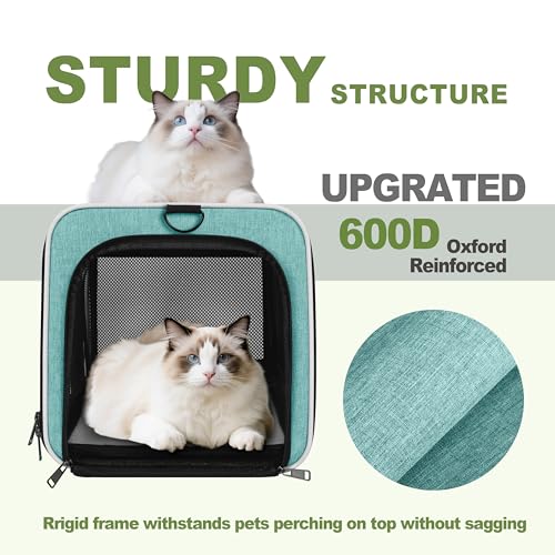 Cat Carrier 18"x11"x11" TSA Approved Ventilated Pet Air Travel Cage (Turquoise / 18.0"L x 11.0"W x 11.0"H)