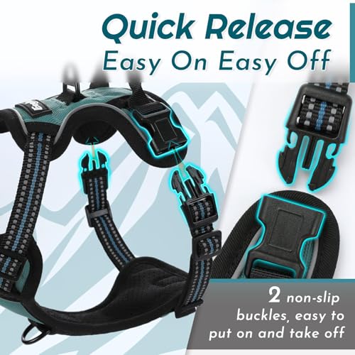 Dog Harness for Small Dogs (X-Small / Dark Green)