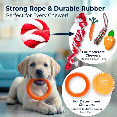 9 Pack Dog Toys for Small & Medium Dogs (9 Count / 9 Pack)