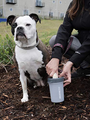 Lidded MudBuster Medium Dog Paw Cleaner (Light Gray / Medium with Lid)