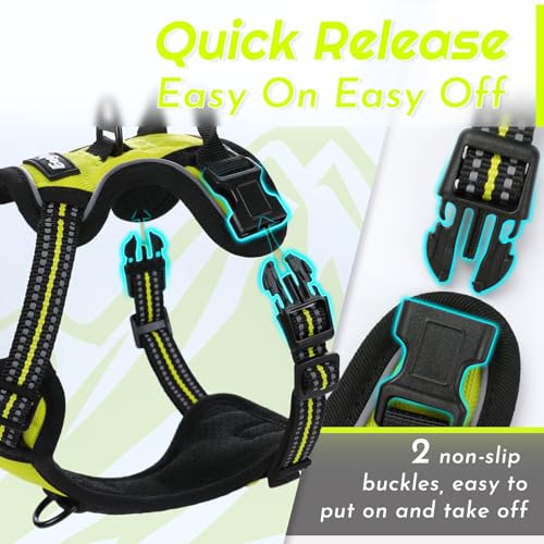 Dog Harness for Small Dogs (X-Small / Green)