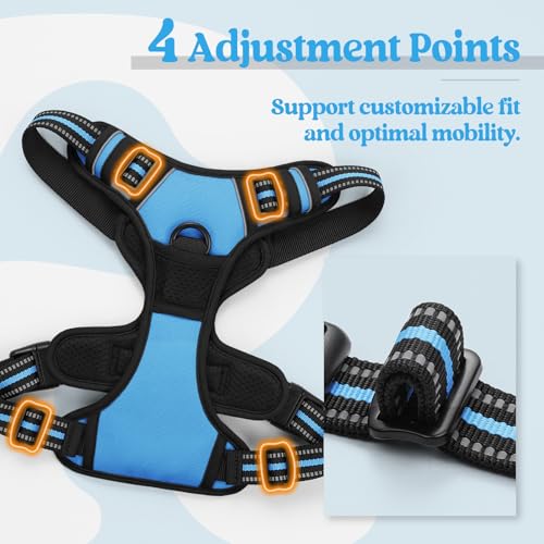 Dog Harness No Pull Medium Sized with 2 Leash Clips (Medium / Blue)