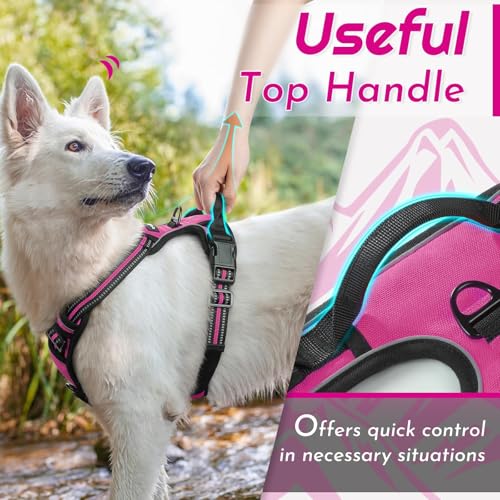 Dog Harness for Small Dogs (Small / Rose Red)