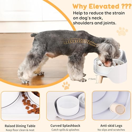 Elevated Slow Feeder Dog Bowls with Splash Proof Stand (Medium / White)
