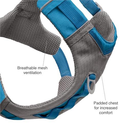 Journey Air Dog Harness (Small / Coral)