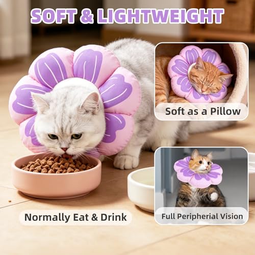 Cat Cone Collar (Purple / M - Neck Up to 10.5")
