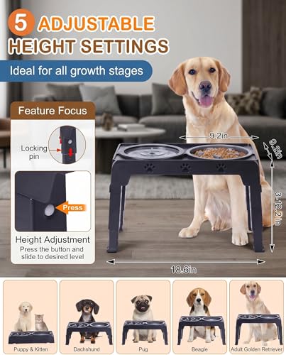 Collapsible Dog Bowls Raised Elevated Adjust Stand (Black)