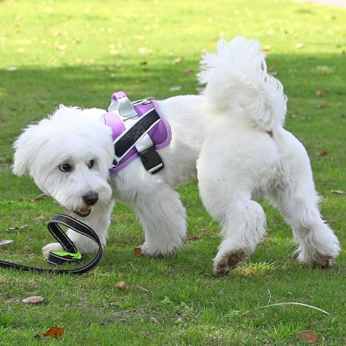 Dog Harness No (Large (Pack of 1) / Lavender)