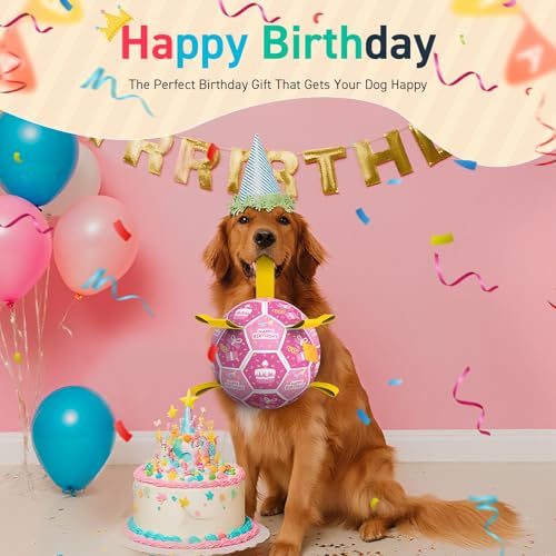 Dog Birthday Toys (Birthday / 8 Inch)