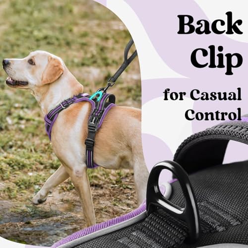 Dog Harness for Large (X-large / Black & Purple)