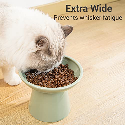 2 Pack Extra Wide Elevated Ceramic 6.2" Shallow Cat Food Bowls (Sage Green-2 Food Bowl)