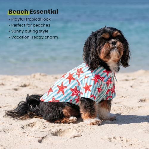 Starfish Striped Dog Shirt (Small / Starfish)
