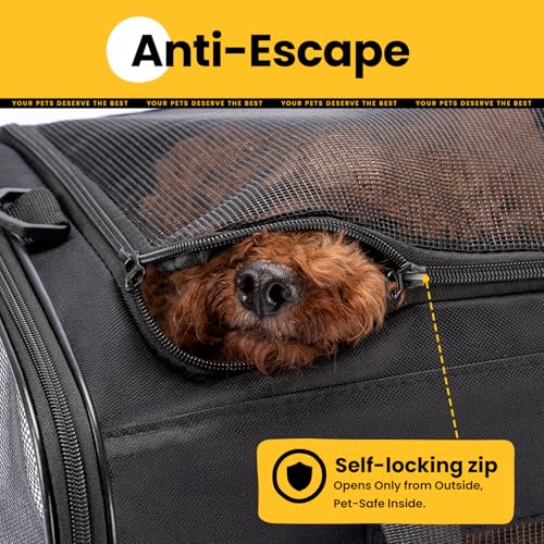 Dog Carrier Bag (20.0"L x 12.6"W x 1.4"H / Black)