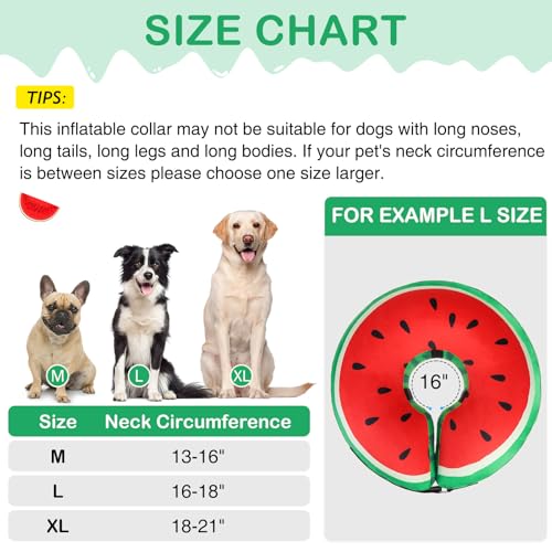 Recovery Donut Collar for Medium Large Dogs (Red Watermelon / XL(Neck 18"-21"))