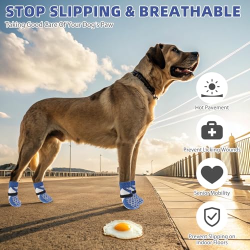 Dog Socks Shoes for Hot Pavement (Blue / Small(4 Pack))