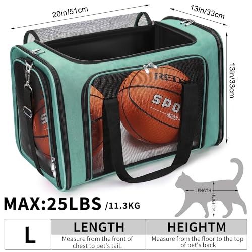 Soft Sided Cat (Turquoise / 20"L x 13"W x 13"H)