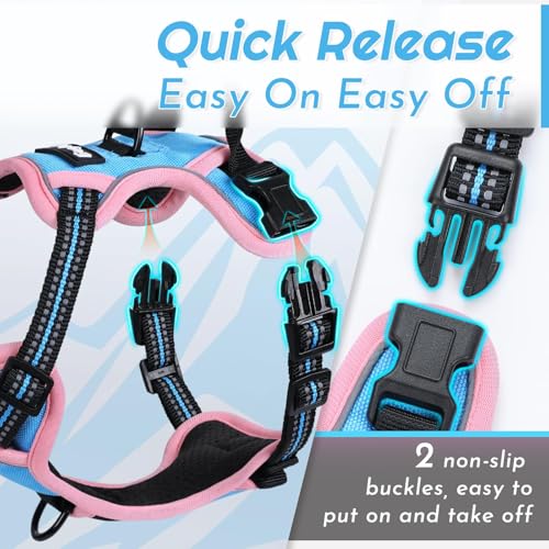 Dog Harness for Small Dogs (X-Small / Pink & Blue)