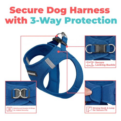 Voyager Step in Air Dog Vest Harness (Royal Blue / L (Chest: 18 - 20.5"))
