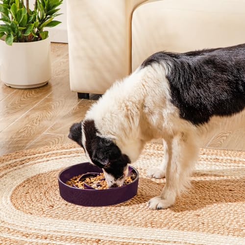 Slow Feeder Dog Bowl (L - 3 Cups / Dark Purple)
