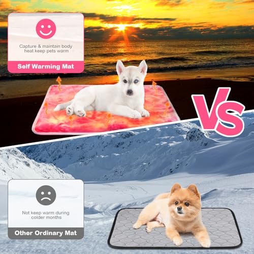 4 Pack Self Heating Cat Bed Cat Self Warming Pad with Removable Cover Extra Warm Thermal Pet Pad Washable Pet Crate Mat Anti Slip Kennel for Indoor Outdoor Pets (16 x 20 Inches)