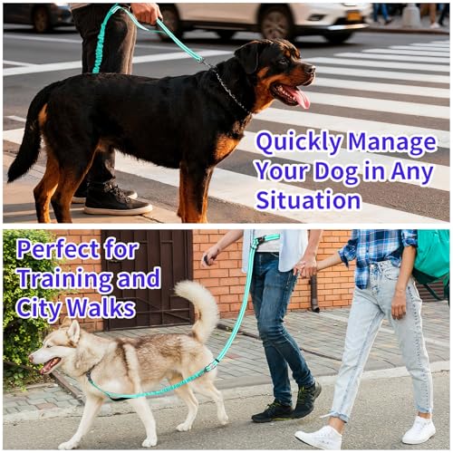Hands Free Dog Leash by Kazazoo (GREEN / L)