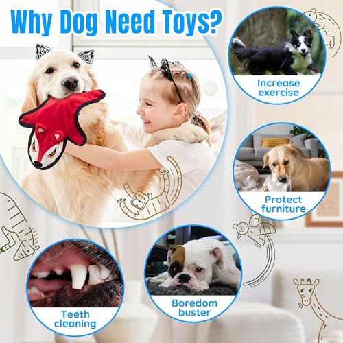 No Stuffing Dog Squeaky Toys (5pack)