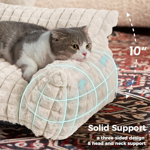 Cat Couch Bed with Fluffy Faux Rabbit Fur for Indoor Cats (Off White / Small: 24"L x 18"W x 10"Th)
