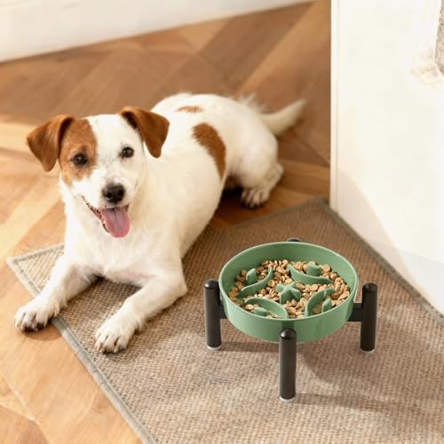 Elevated Slow Feeder Dog Bowl (Green / S（1 Bowl with Stainless Steel Stand）)