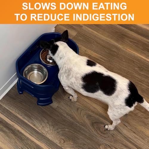 Stainless Steel Slow Feed Dog Bowl for Fast Eating Medium Breed (1 Cup - Standard)