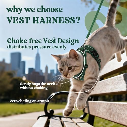 Cat Harness and Leash Set (S / Rainforest Green)