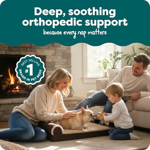 Orthopedic Dog Bed for Medium (Medium / Espresso)