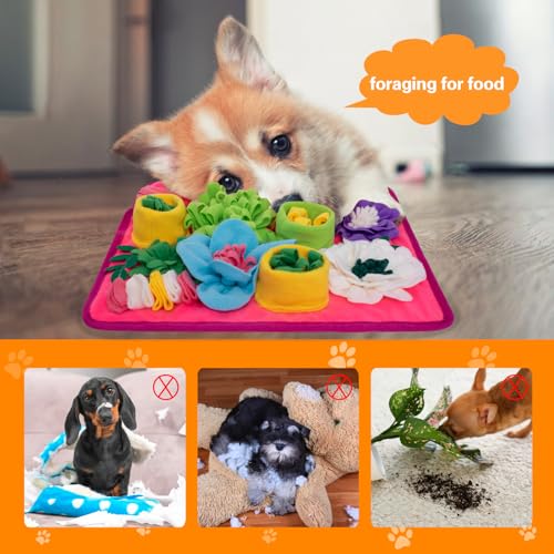 Snuffle Mat for Dogs (Bright Pink)