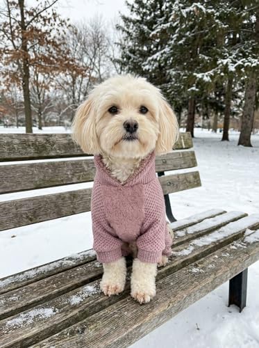 Collared Neck Fleece Dog Pajamas (Medium / Pale Violet Red)