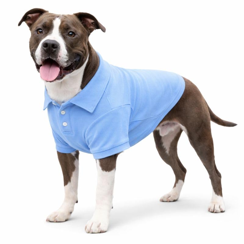 Basic Dog Polo Shirts Premium Cotton (XL (-35lbs) / Sky-Blue)