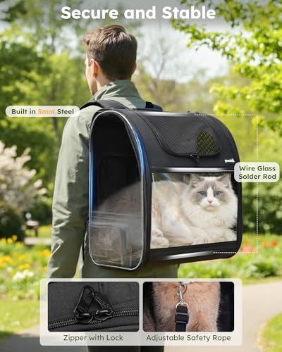 Cat Backpack Expandable (Black / 15.4"L x 11.0"W x 19.0"H)
