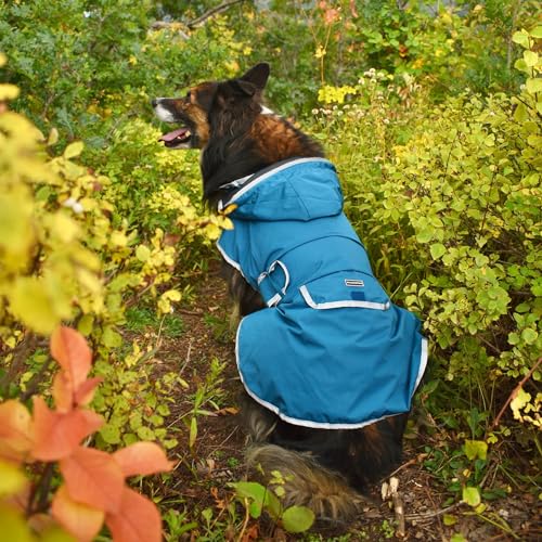 Dog Jacket Waterproof Raincoat with Breathable Interior (Medium / Pacific Blue)
