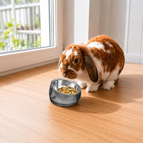 Oblik 15° Tilted Small Animal Bowls for Pet Food & Water 6 oz Stainless Steel Dish Removable (Smoky / Mini Pet)