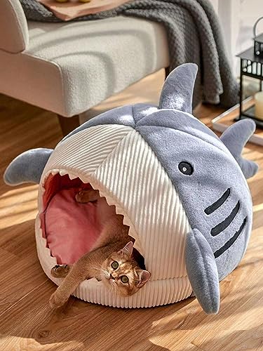 Cat Mat Shark (Medium / Blue)