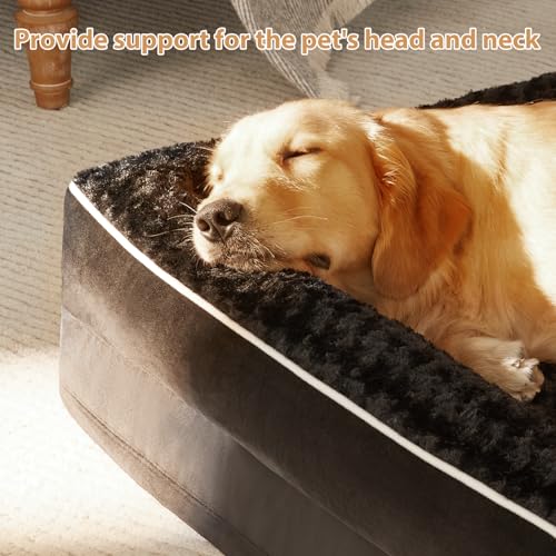 Orthopedic Washable Dog Bed (Black / 48.0"l x 35.0"w x 7.5"th)
