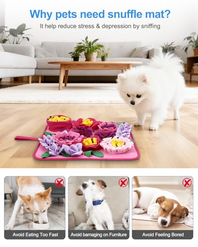 Snuffle Mat for Dogs