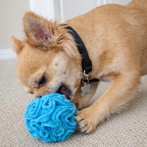Puppy Small Breed Snuffle Dog Puzzle Ball Toy Blue Extra Small (Blue / Extra Small)