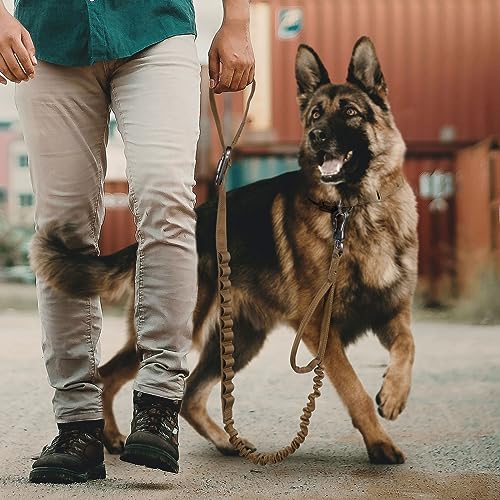 Tactical Military Bungee Nylon Dog Leash Adjustable (Grey)