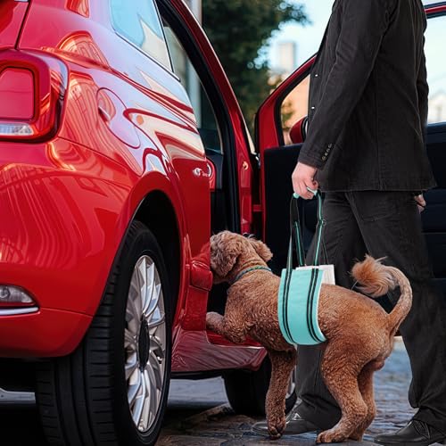 Adjustable Dog Sling Dog Lift Harness Hind Leg Support (Turquoise / L)