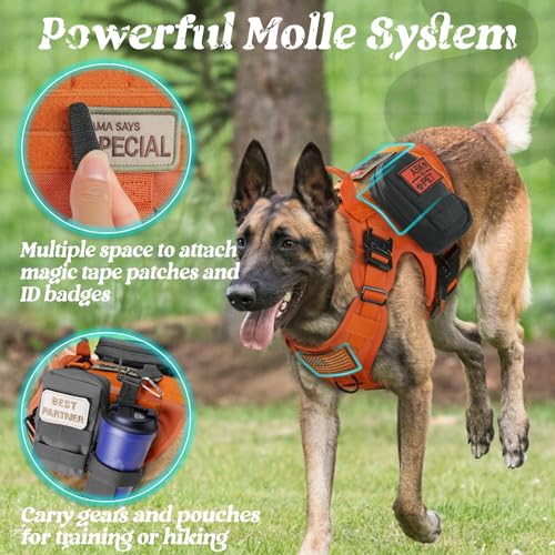 Tactical Dog Harness for Large (Orange / Large)