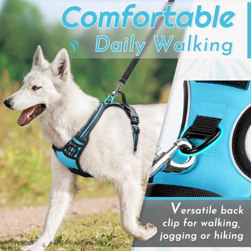 Dog Harness for Small Dogs (Small / Sky Blue)
