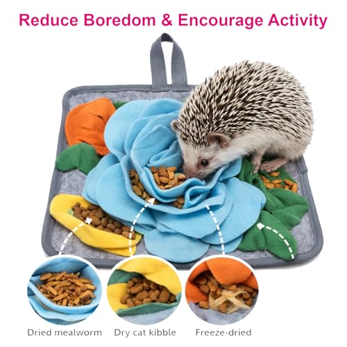 5Pcs Hedgehog Foraging Toy
